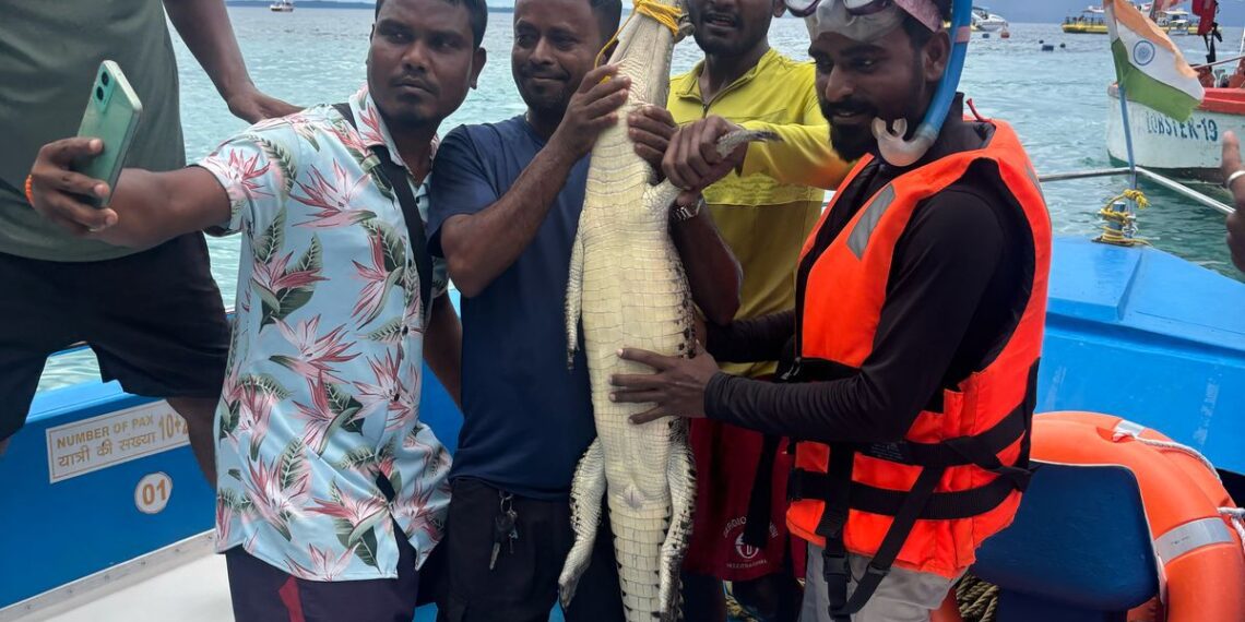 Crocodile Scare at Elephant Beach: Child Reptile Sparks Panic Amongst Tourists